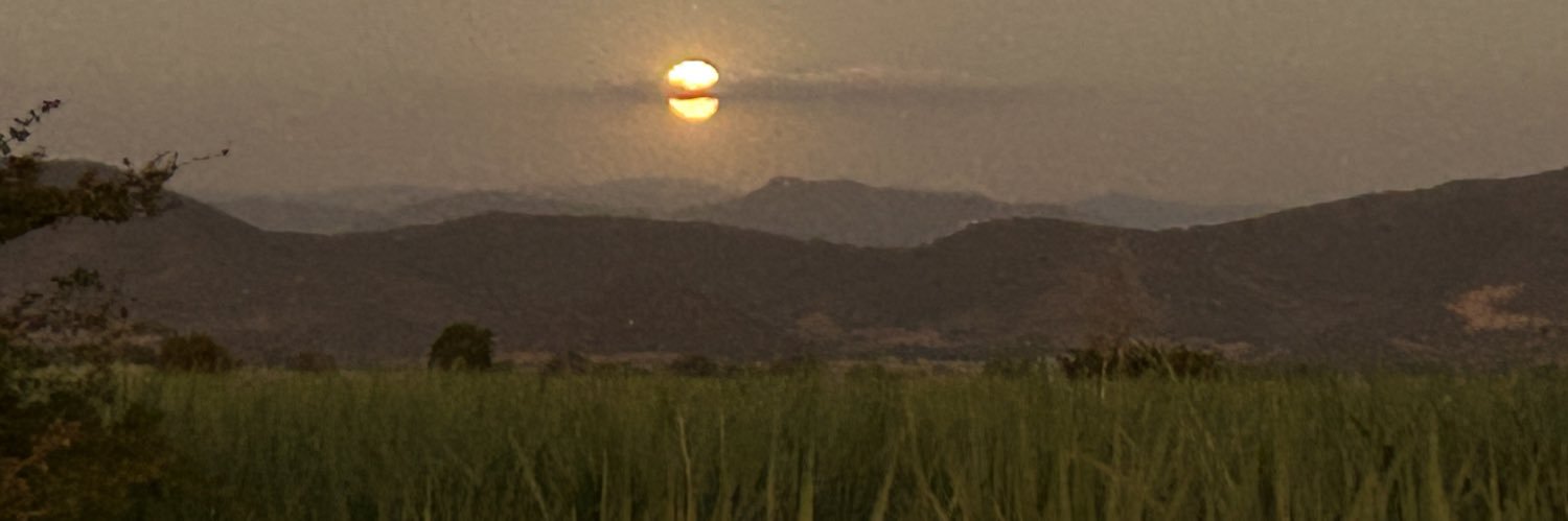 sarayceval's profile banner image