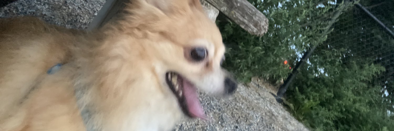 uannn__'s profile banner image