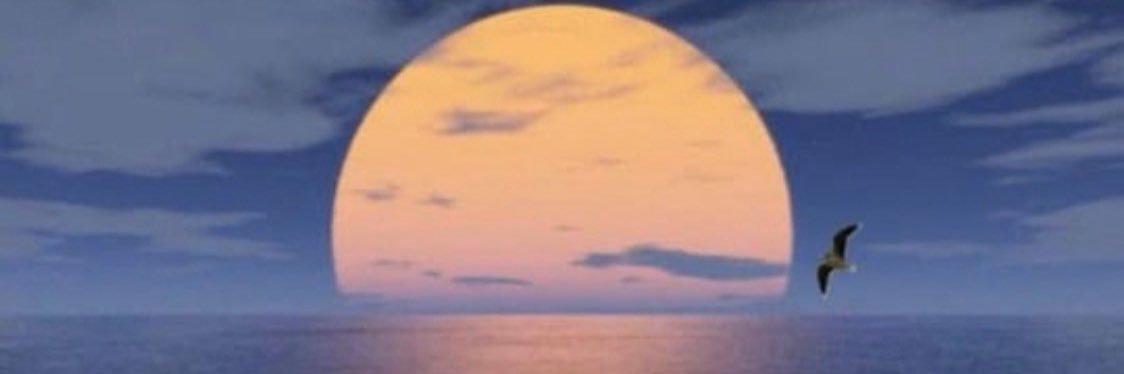 aboali414141's profile banner image