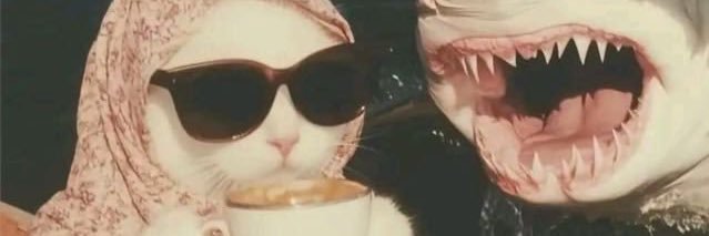 Hellgurl95's profile banner image