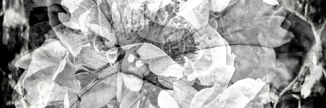 𝒜 𝓃 𝓃 ℯ ℳ 𝒶 𝓇 𝒾 ℯ banner