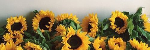 almabeee_'s profile banner image