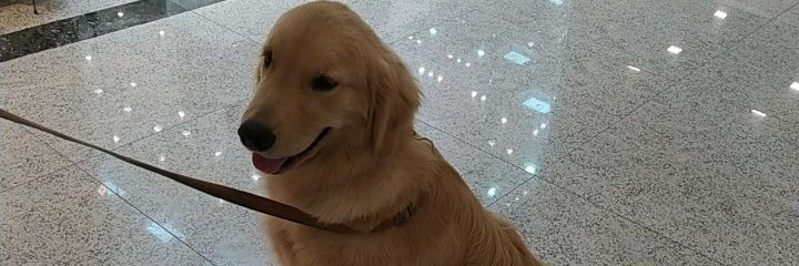 FranzeSaimon's profile banner image