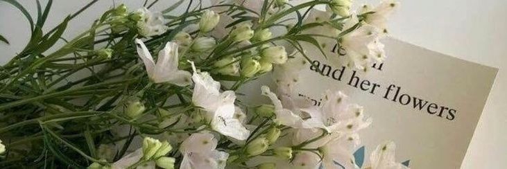 beauty_profile's profile banner image