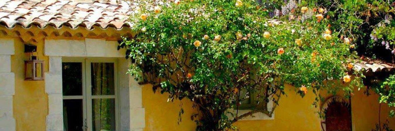 Ana Paula Motta banner