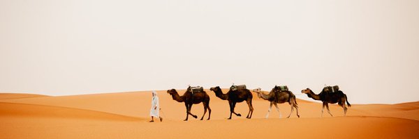 nickelliott22 Profile Banner