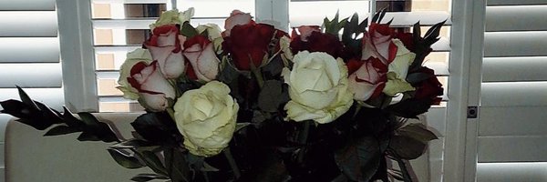 Bevstar7 Profile Banner