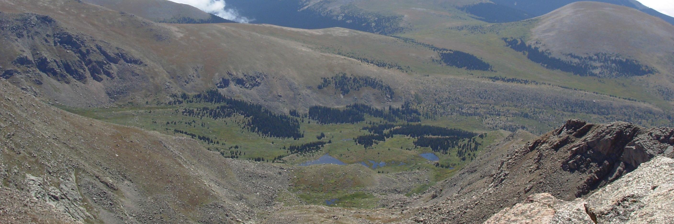 marcyphelps's profile banner image
