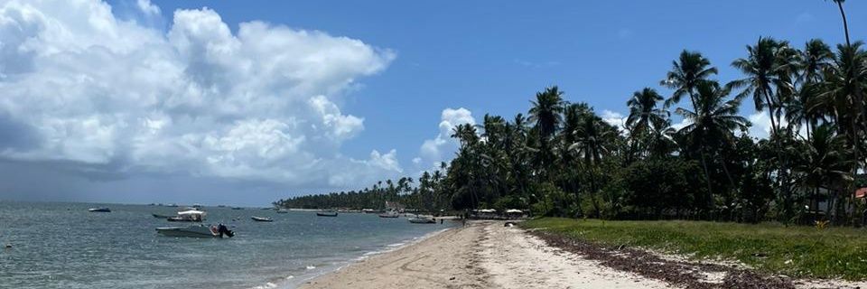 TecaDionisio's profile banner image