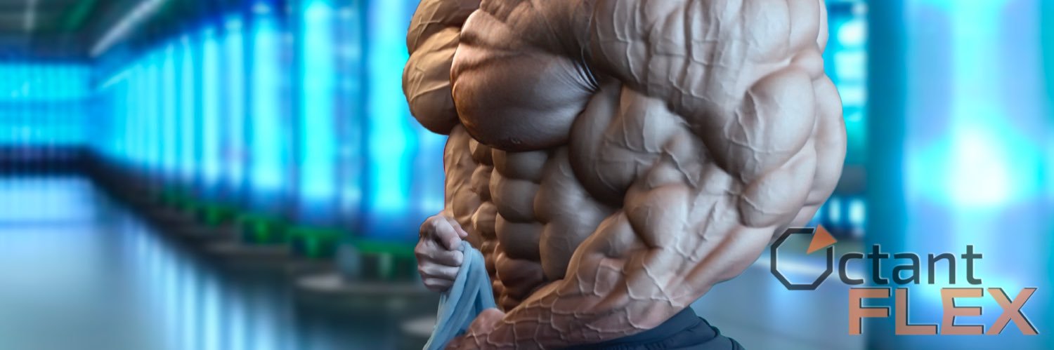 Octant Flex banner