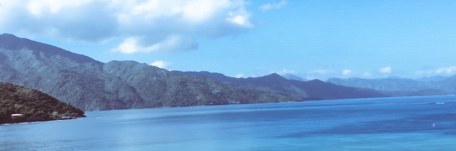 ireenmi's profile banner image