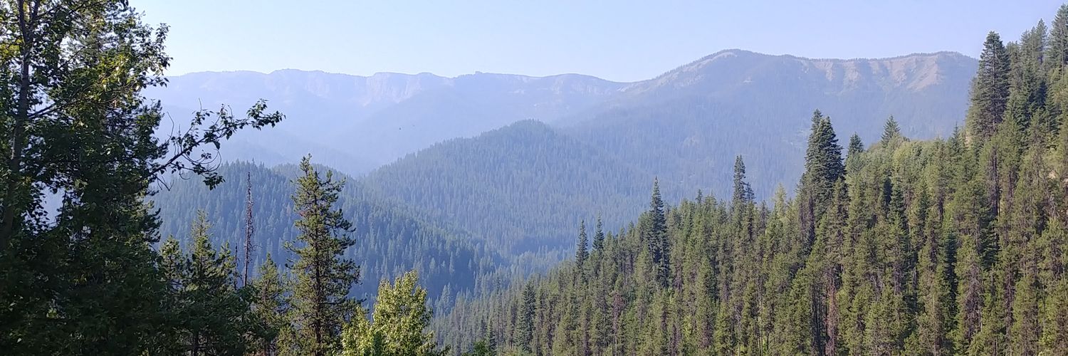Shillz banner