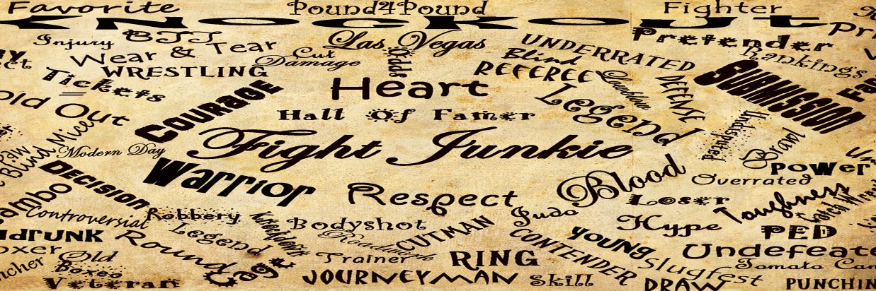 Fight Junkie ® banner