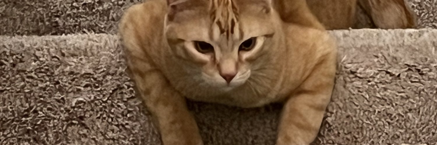hmillz__'s profile banner image