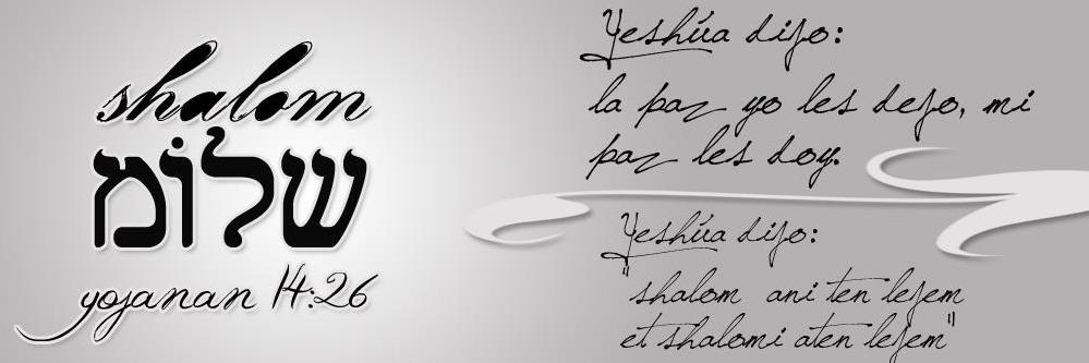 megaaguila's profile banner image