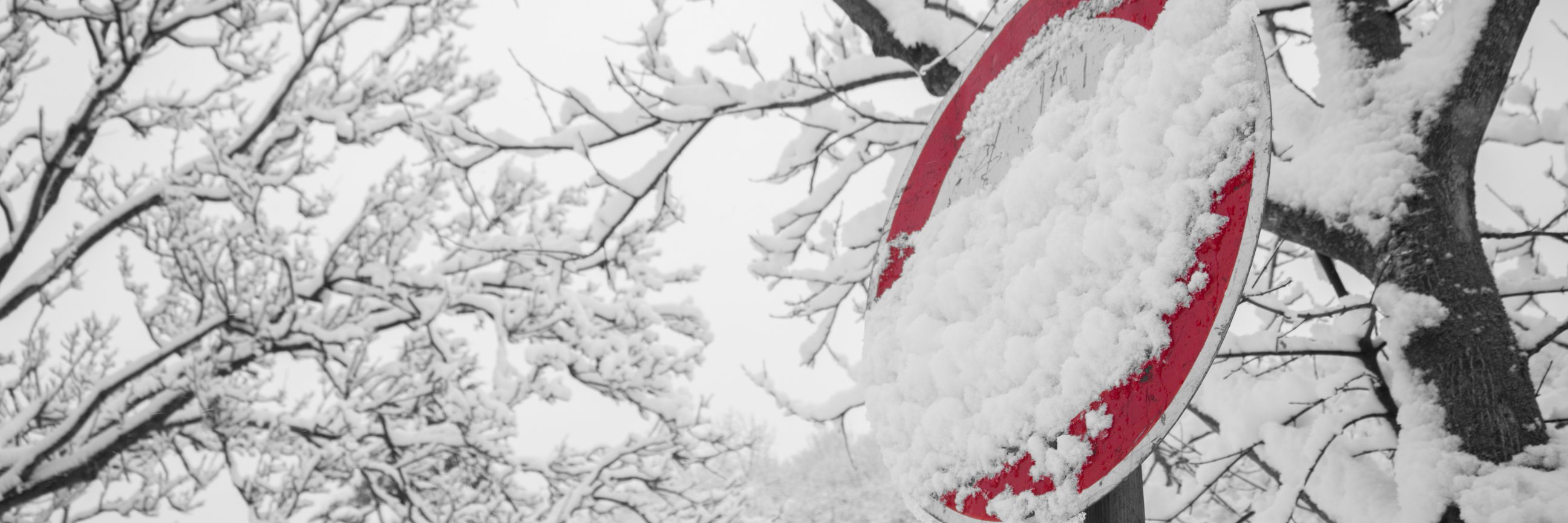 tespitator's profile banner image