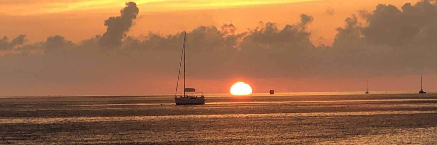 LisaBTweetin's profile banner image