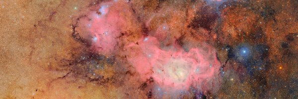 NSF Profile Banner