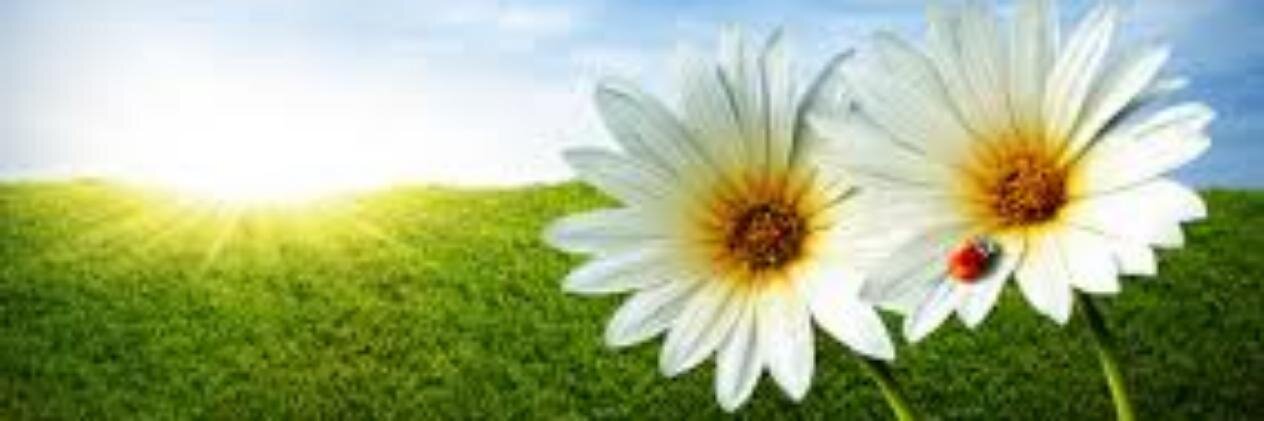 biosundar88's profile banner image