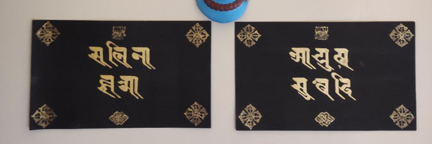 Ayush banner