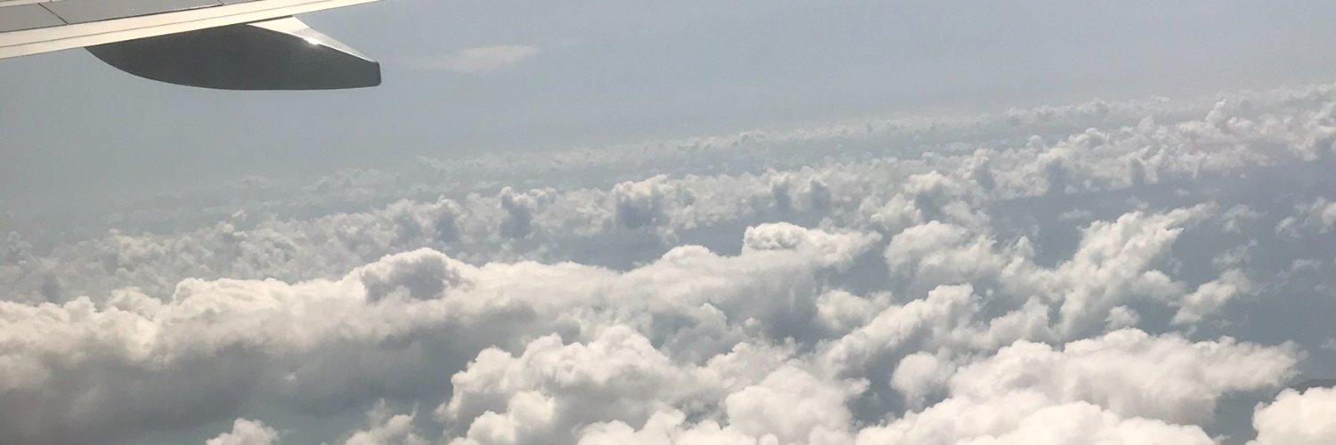 binapaganelli's profile banner image