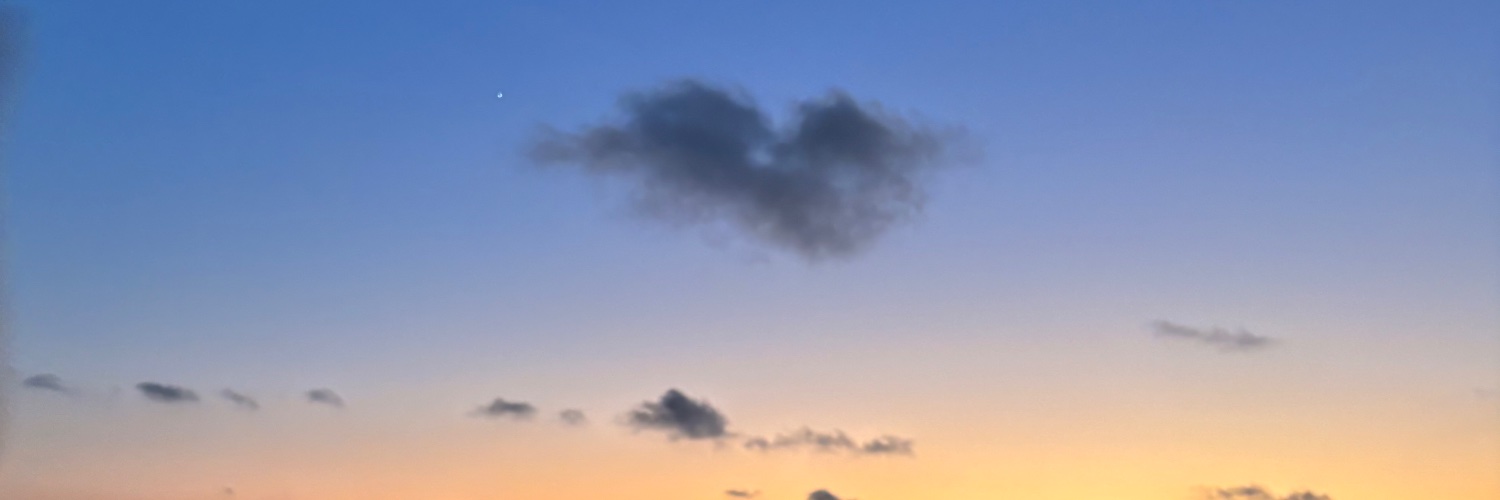 astridolsx's profile banner image