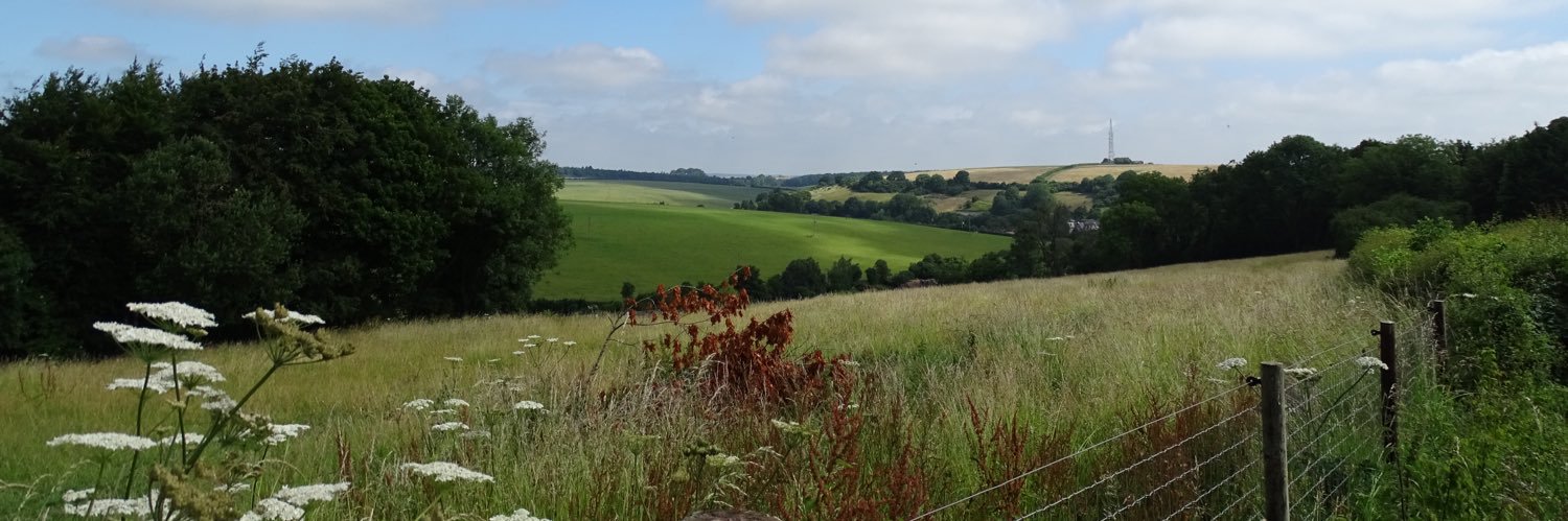 Mark in Dorset banner