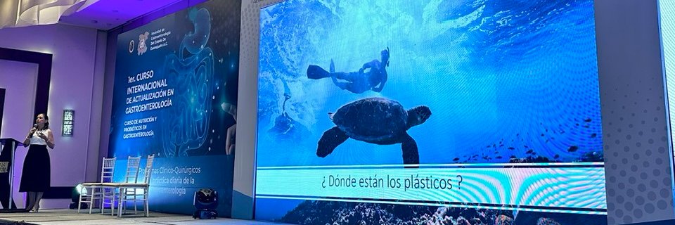 rmonroy79's profile banner image