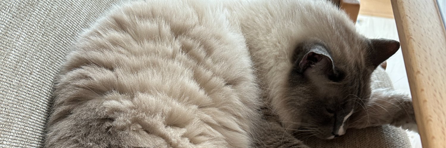 clov_white's profile banner image