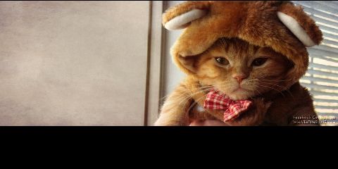 onlymeRuffa's profile banner image