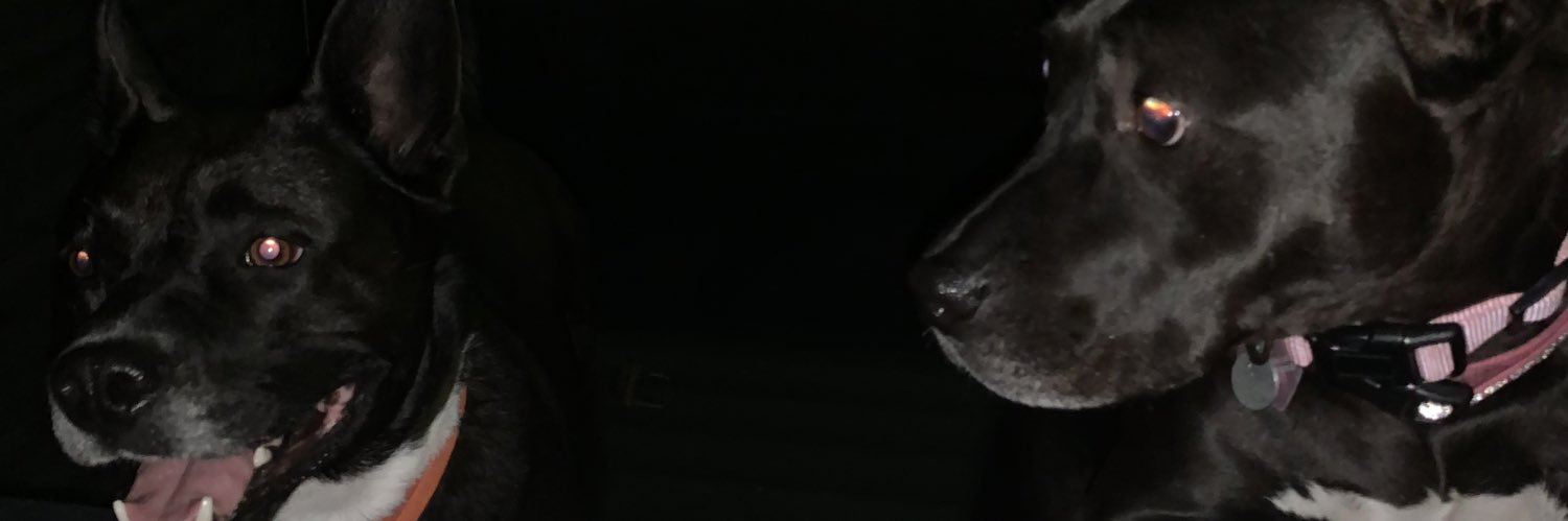 johnston8714's profile banner image