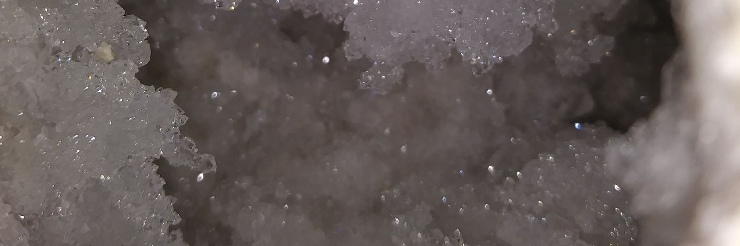 DogOfFuture's profile banner image