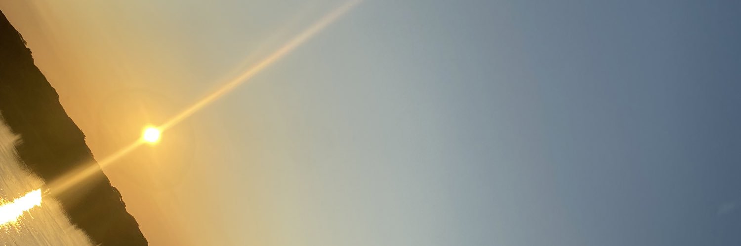 Camss banner