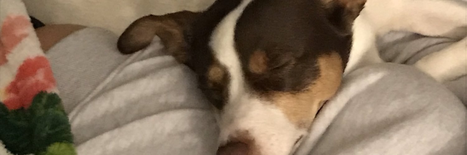 katthewmennedy's profile banner image