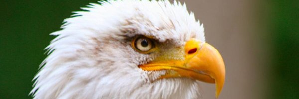nkh671's profile banner image