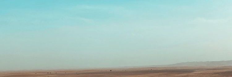 Mina Kargar banner