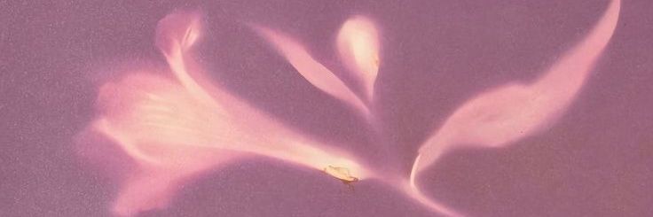 archerrrie's profile banner image