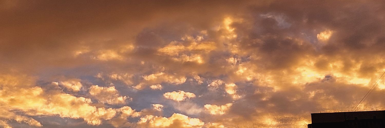 україночка_з_гарними_очима banner