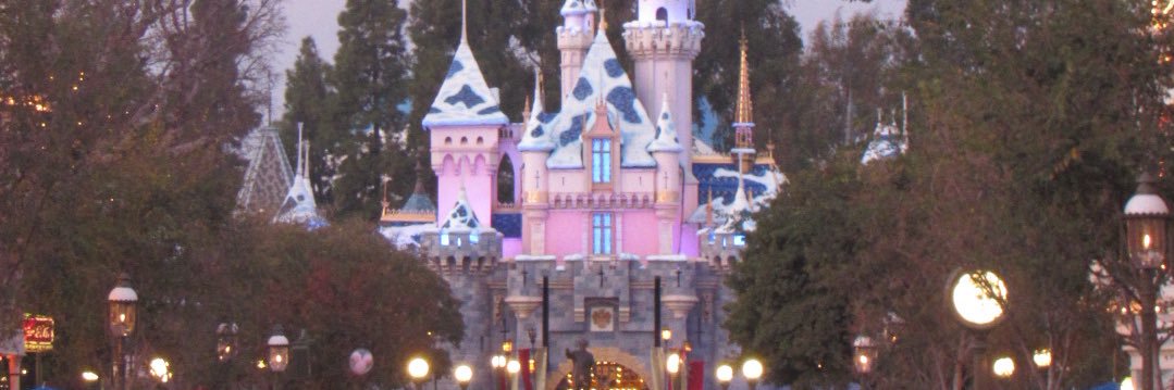 sorcerers apprentice banner