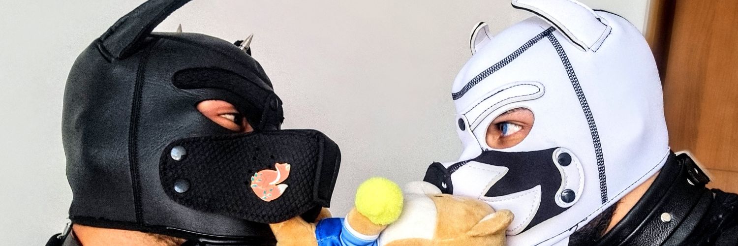 Onix Pup banner