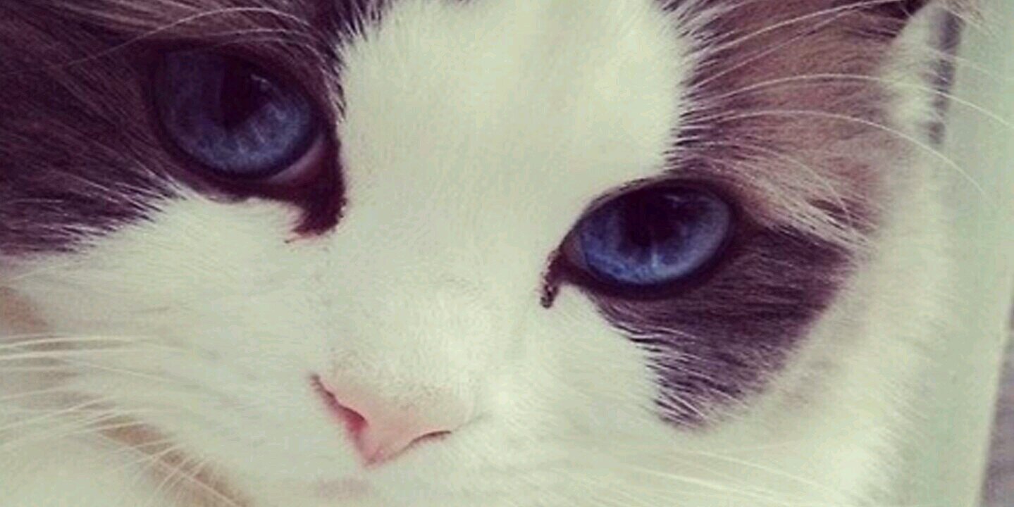 AzriAdil's profile banner image
