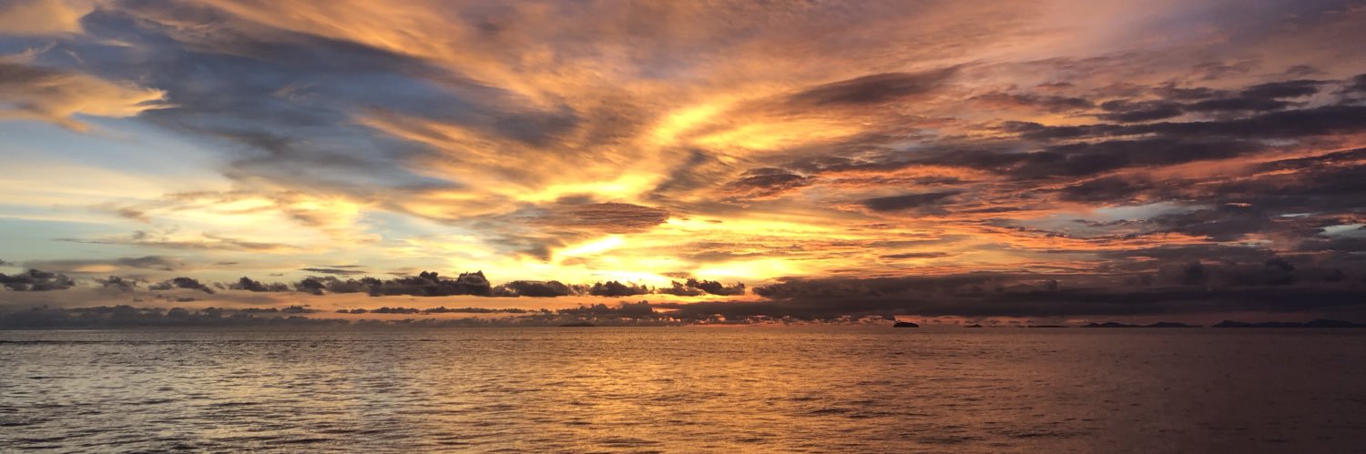 melperky's profile banner image