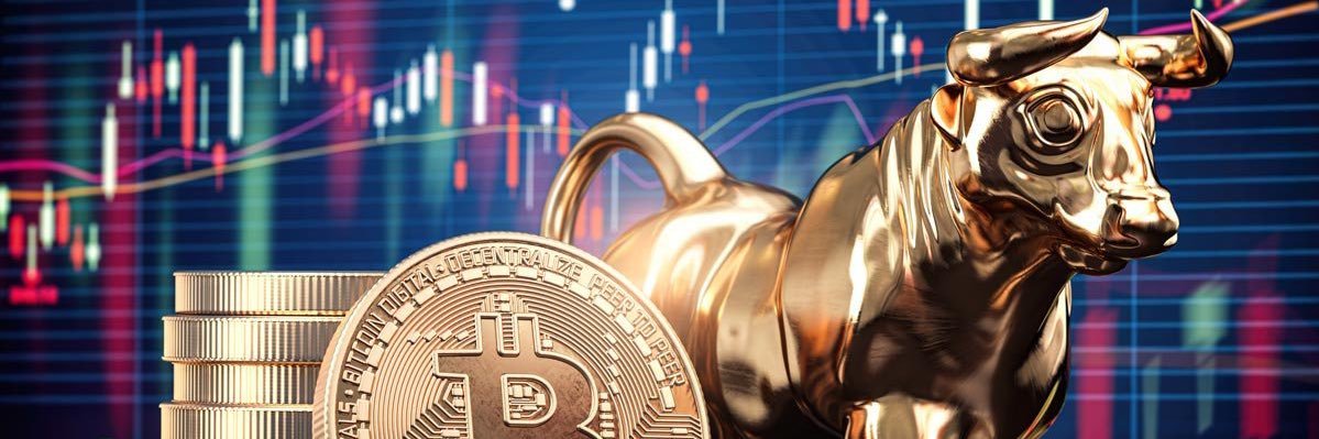 Tradesetter顶级付费聚合群 banner