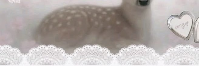 bunnygallows's profile banner image