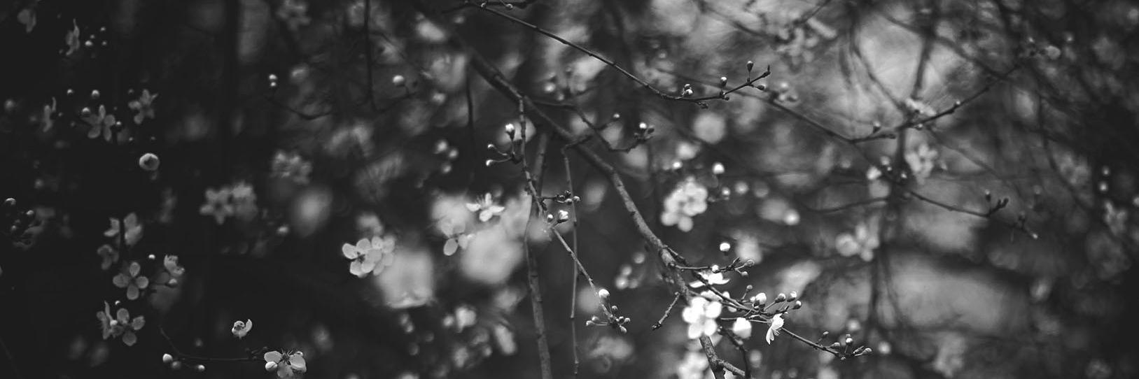 mikol__'s profile banner image