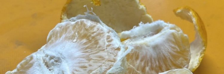 萬田チョン五郎 banner