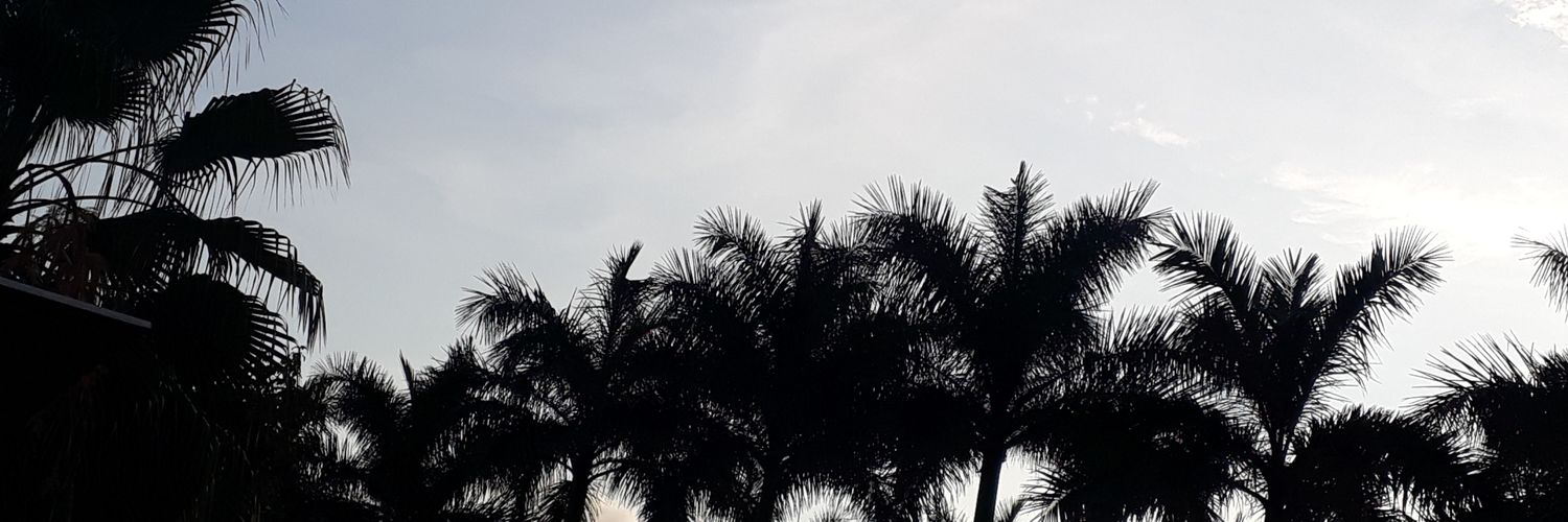 samlabastida25's profile banner image