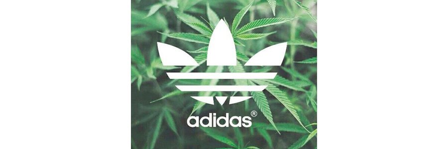 CTachella's profile banner image