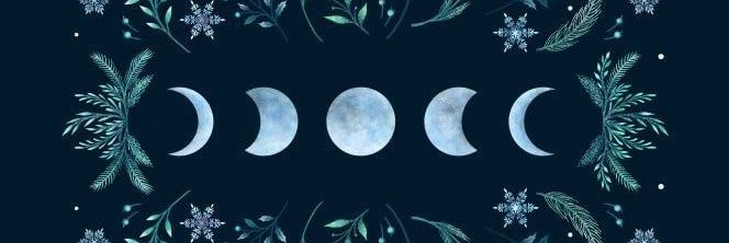 ลิงฟิโก้🪶🌙 (Alumni) banner