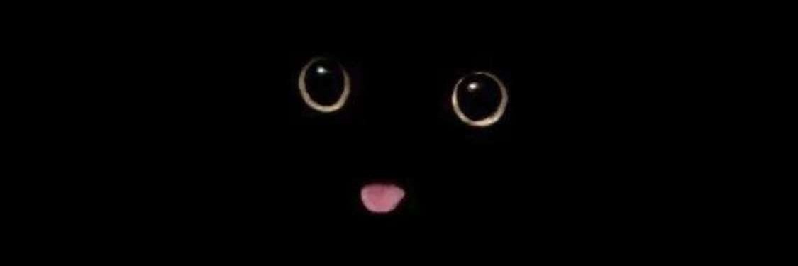 NFTQuokkaa's profile banner image